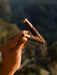 Hand holding a decorative metal object against a blurred natural background