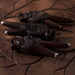 Lion Kuripe Pipe for Hape Snuff - Wooden Smoking Pipe Applicator - Shamanic Tools Double Kuripe for Sacred Herbal Medicine