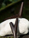 Two wooden hooks on a textured stone surface with a blurred natural background